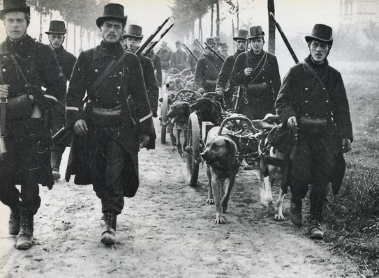History of Australia's Best Bodyguards