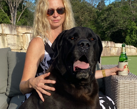 Australian Mastiff